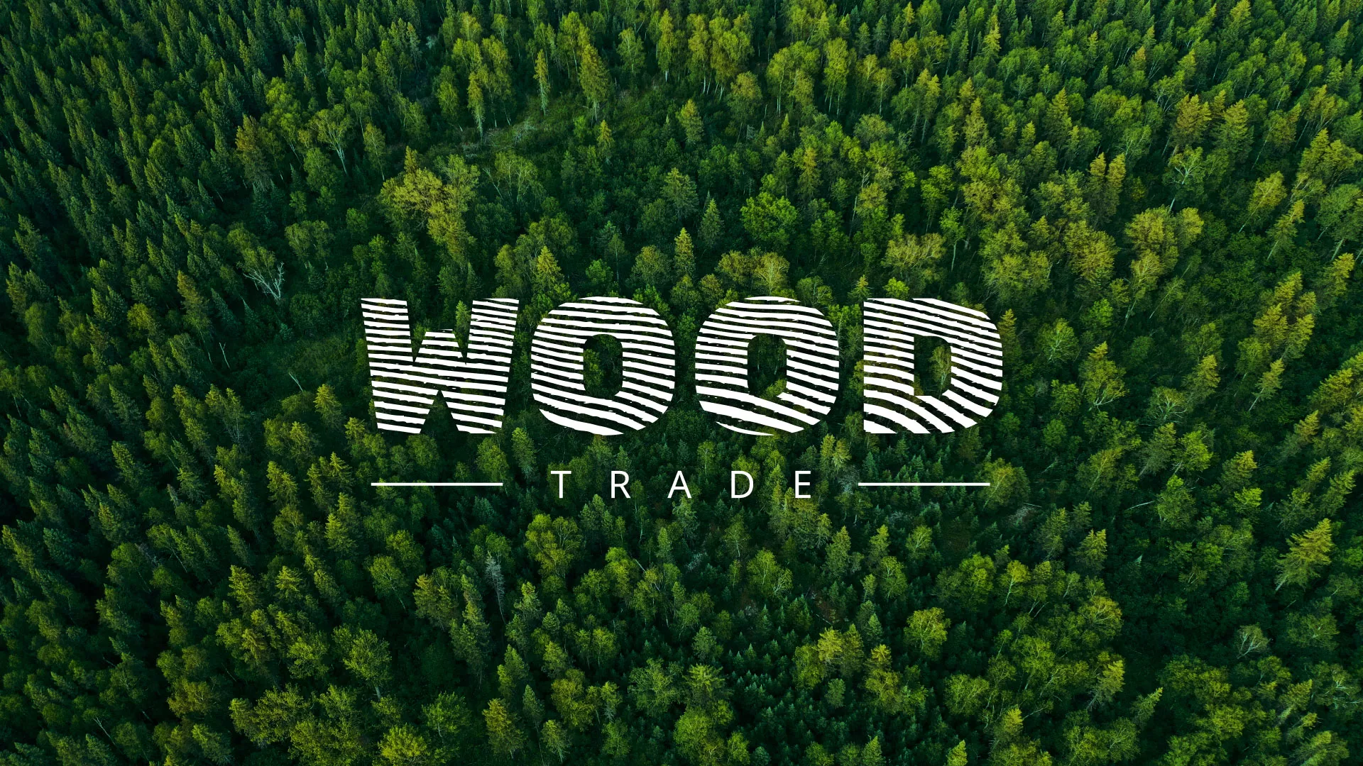 Разработка интернет-магазина компании «Wood Trade» в Кашине